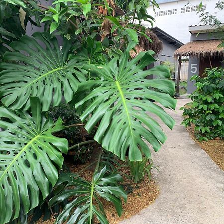 บ้านใจแปงโฮมสเตย์ Ban Jaipang Homestay Pai Eksteriør billede
