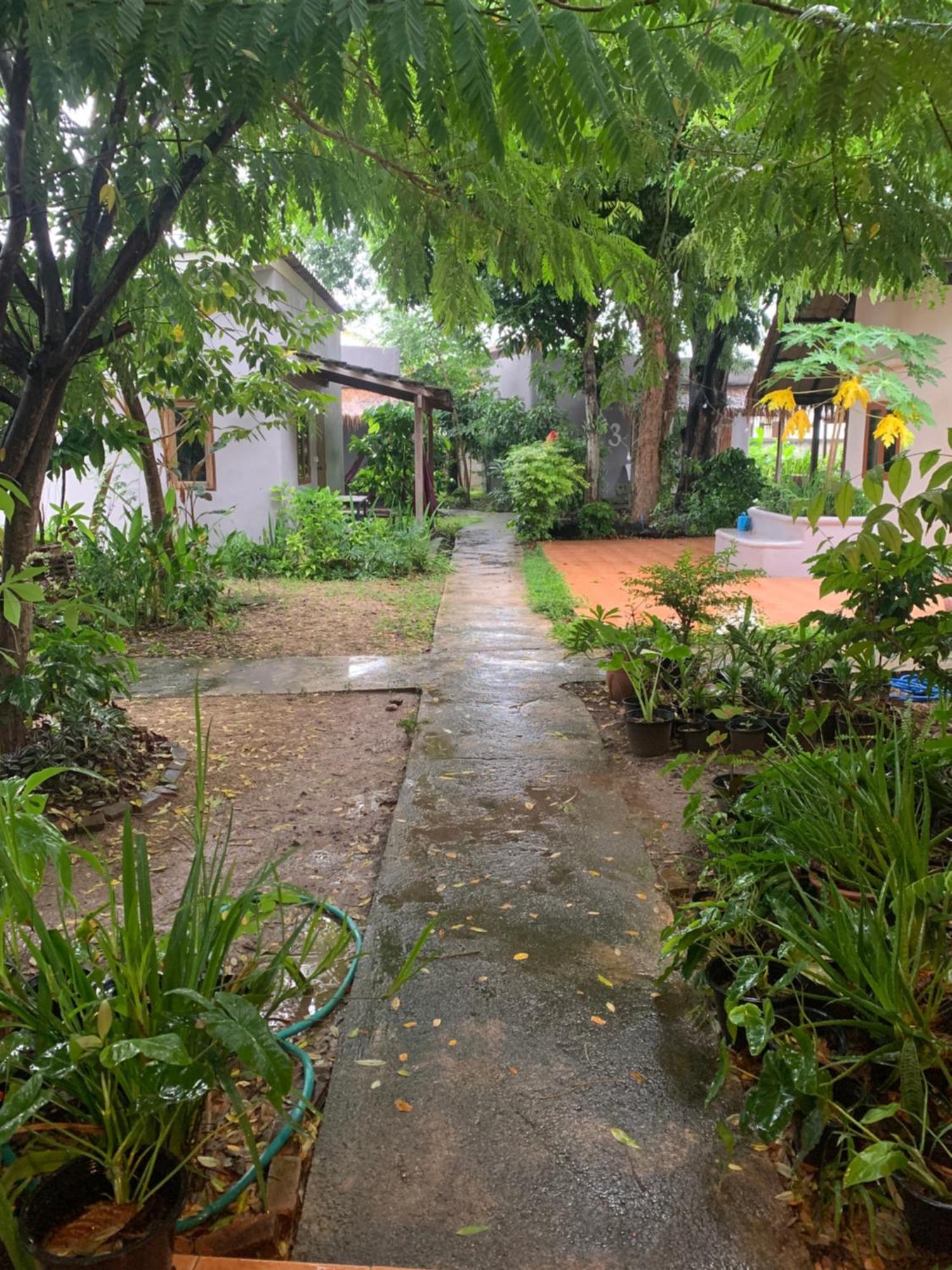 บ้านใจแปงโฮมสเตย์ Ban Jaipang Homestay Pai Eksteriør billede
