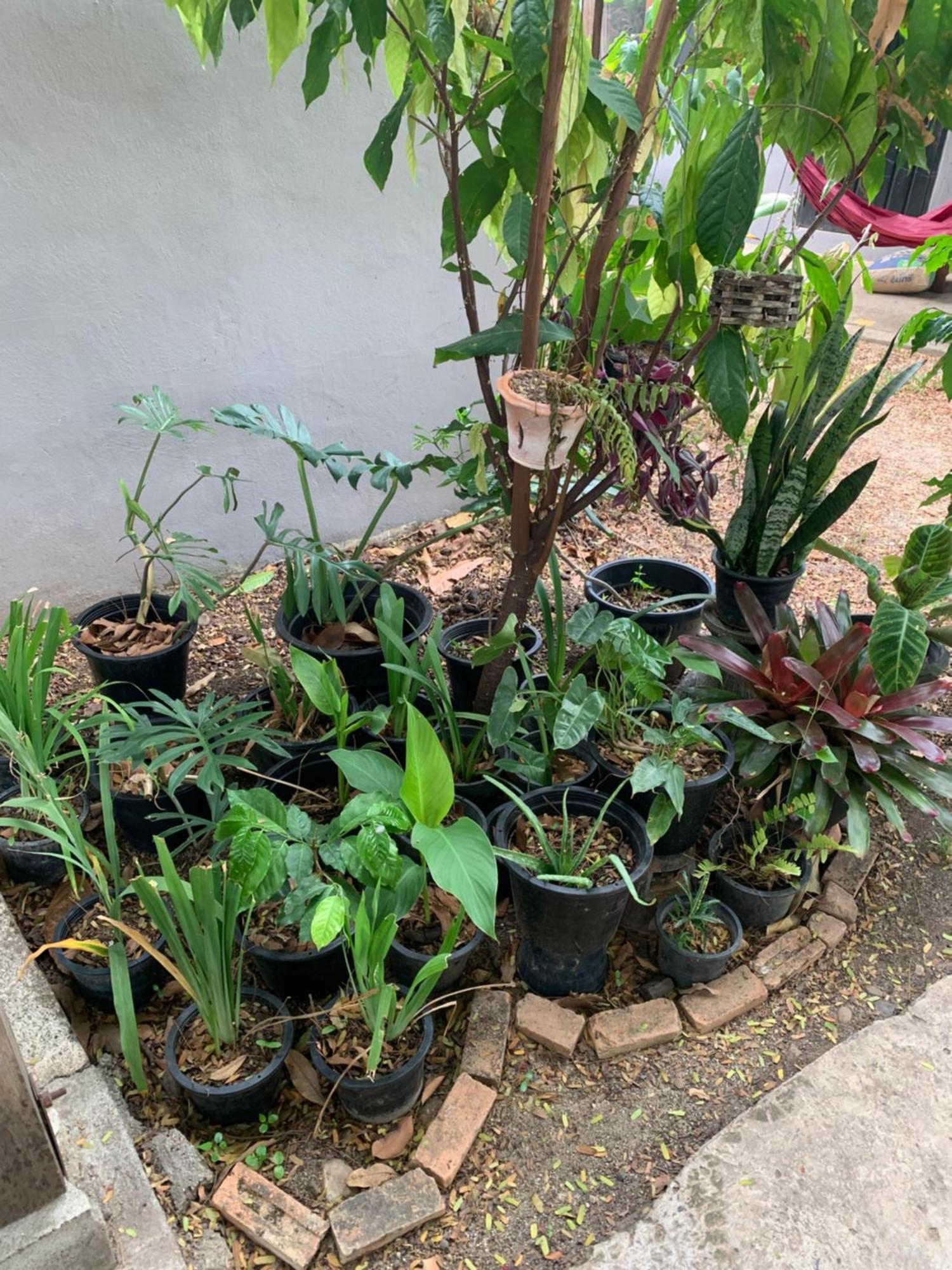 บ้านใจแปงโฮมสเตย์ Ban Jaipang Homestay Pai Eksteriør billede
